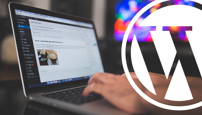 wordpress theme customization